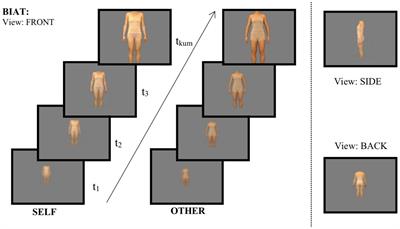 The Body Image Approach Test (BIAT): A Potential Measure of the Behavioral Components of Body Image Disturbance in Anorexia and Bulimia Nervosa?